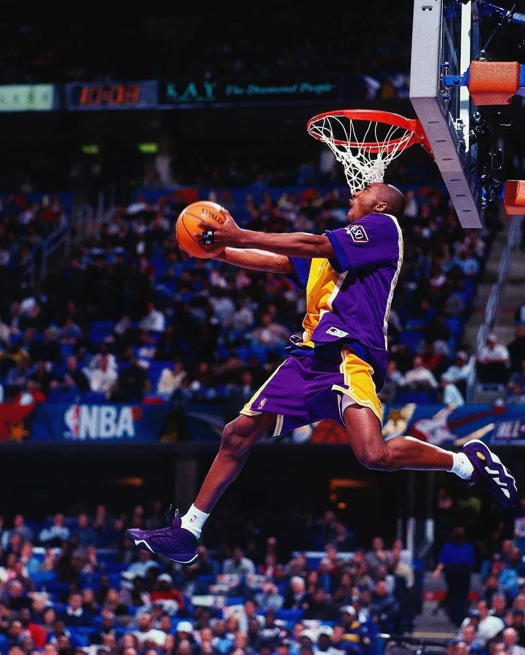 育爱好者关 育爱好者关