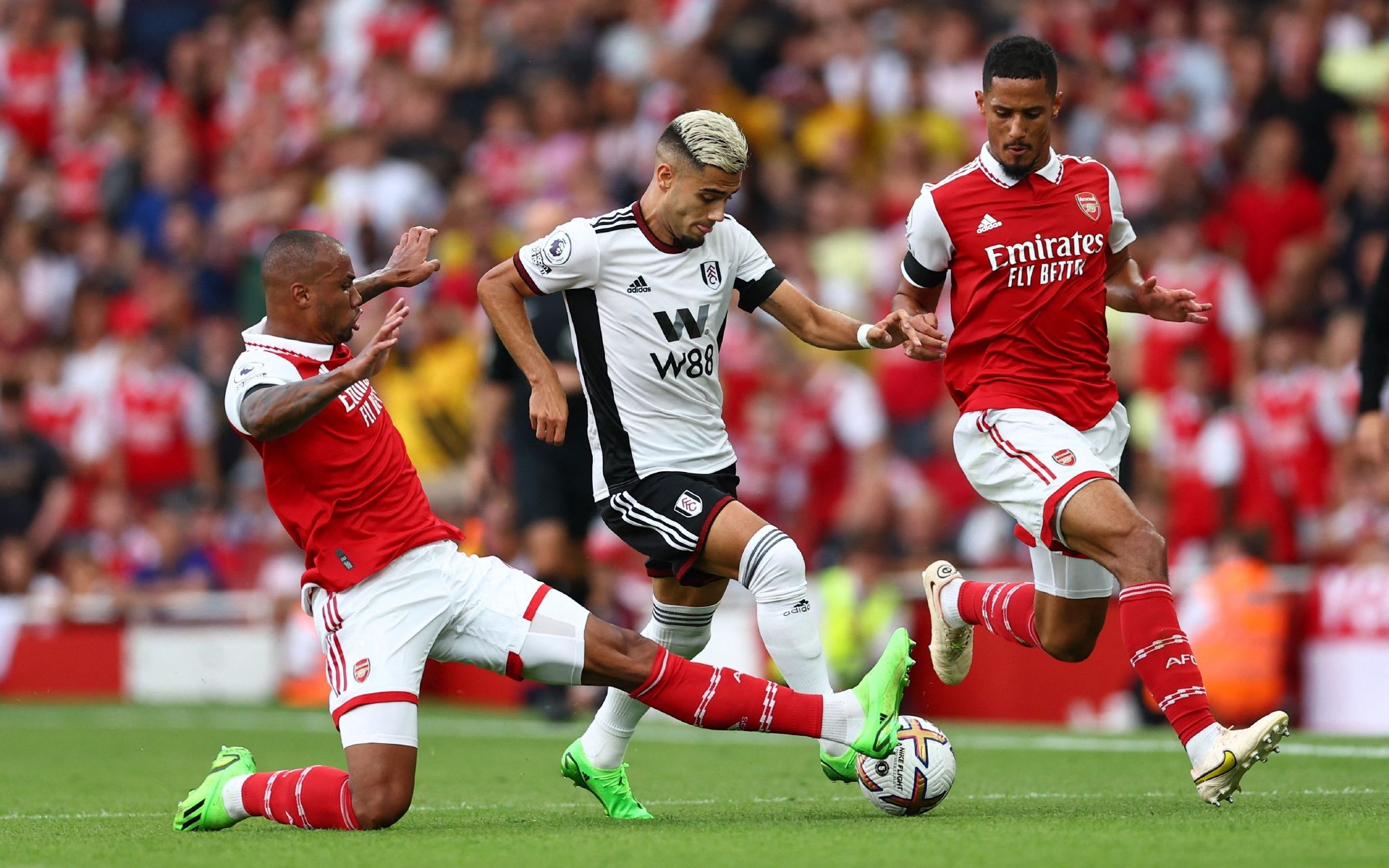 从整体来看 从整体来看